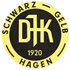 DJK Schwarz-Gelb 1920 Hagen e.V.